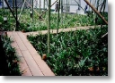 work-way decking61.jpg
